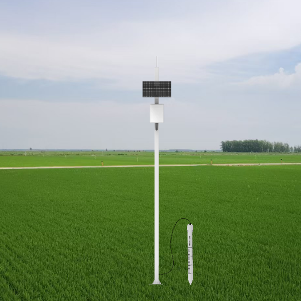 J9����-����վ����