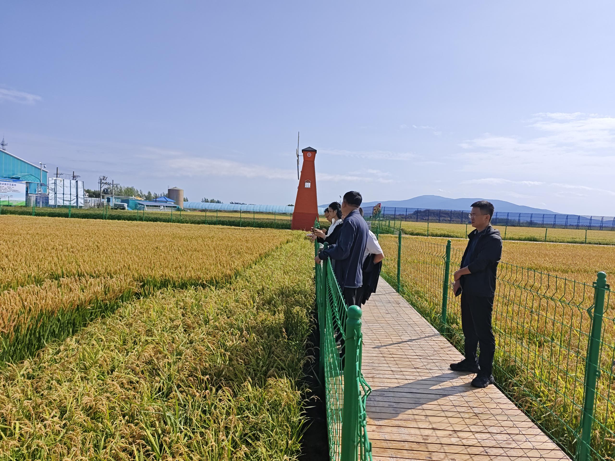 J9����-����վ����